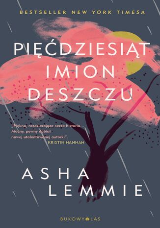 Pięćdziesiąt imion deszczu Asha Lemmie - okladka książki