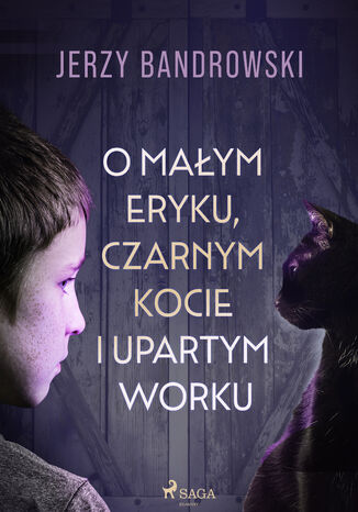 O małym Eryku, czarnym kocie i upartym worku Jerzy Bandrowski - okladka książki