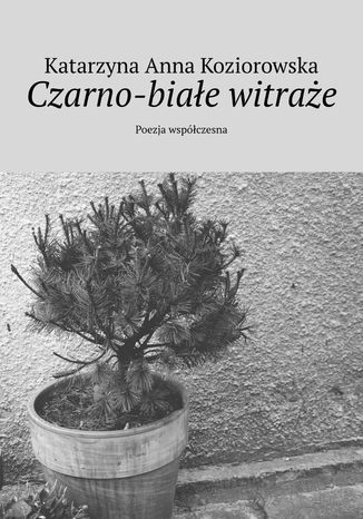 Czarno-białe witraże Katarzyna Koziorowska - okladka książki