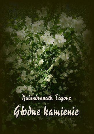 Głodne kamienie Rabindranath Tagore - okladka książki