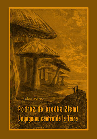 Podróż do środka Ziemi. Voyage au centre de la Terre Jules Verne - okladka książki