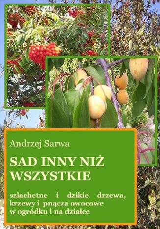 Sad inny niż wszystkie Andrzej Sarwa - okladka książki