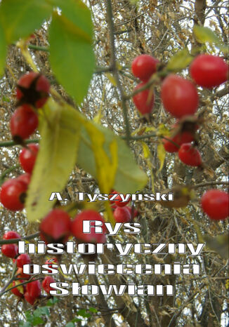 Rys historyczny oświecenia Słowian Aleksander Tyszyński - okladka książki