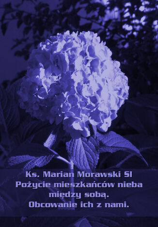 Pożycie mieszkańców nieba między sobą. Obcowanie ich z nami Marian Morawski - okladka książki