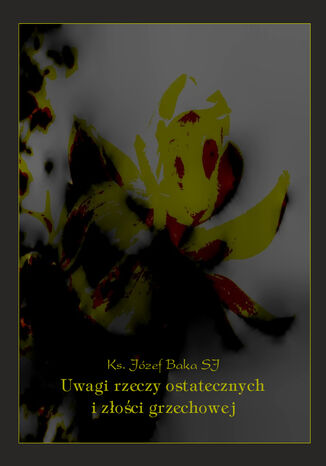 Uwagi rzeczy ostatecznych i złości grzechowej Ks. Józef Baka - okladka książki