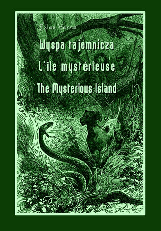 Wyspa tajemnicza. L\'Île mystérieuse. The Mysterious Island Jules Verne - okladka książki