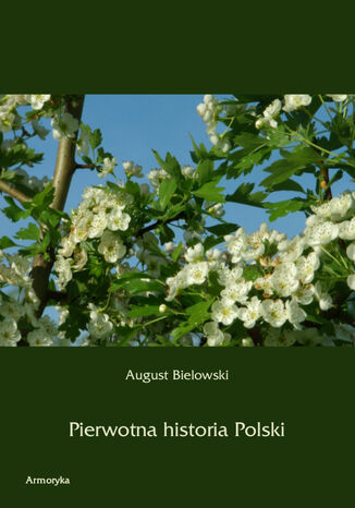 Pierwotna historia Polski August Bielowski - okladka książki