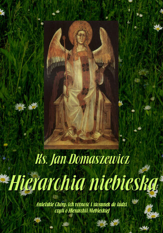 Hierarchia niebieska Jan Domaszewicz - okladka książki