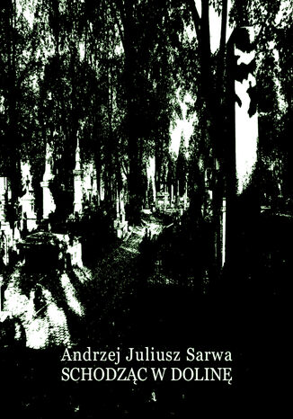 Schodząc w dolinę Andrzej Juliusz Sarwa - okladka książki