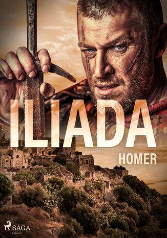 Iliada Homer - okladka książki