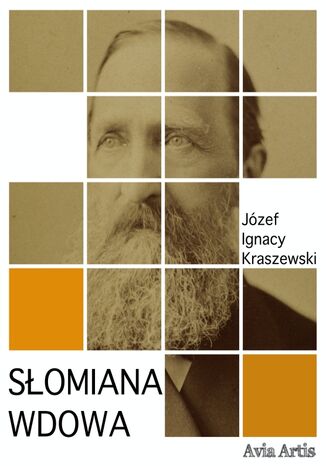 Słomiana wdowa Józef Ignacy Kraszewski - okladka książki