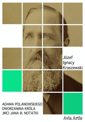 Adama Polanowskiego Dworzanina Króla JMci Jana III. notatki Józef Ignacy Kraszewski - okladka książki