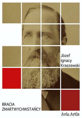 Bracia Zmartwychwstańcy Józef Ignacy Kraszewski - okladka książki