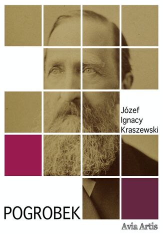 Pogrobek Józef Ignacy Kraszewski - okladka książki