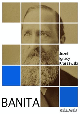 Banita Józef Ignacy Kraszewski - okladka książki