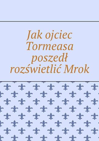 Jak ojciec Tormeasa poszedł rozświetlić Mrok Katarzyna Remisiewicz - okladka książki