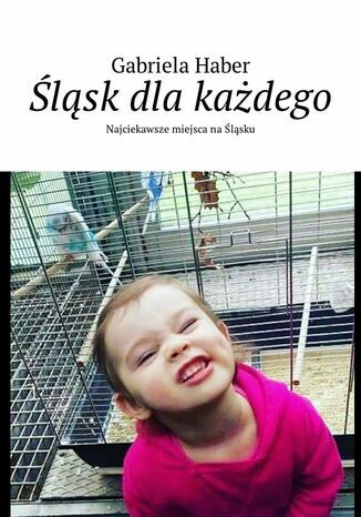 Śląsk dla każdego Gabriela Haber - okladka książki