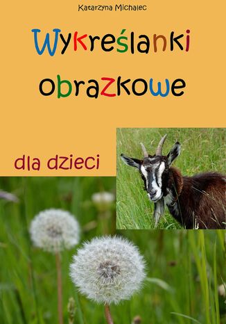 Wykreślanki obrazkowe dla dzieci Katarzyna Michalec - okladka książki