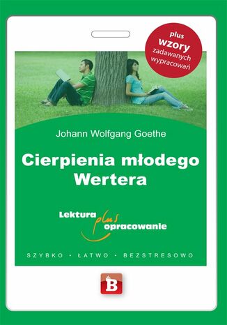 Cierpienia młodego Wertera Johann Wolfgang Goethe - okladka książki