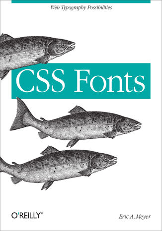 CSS Fonts. Web Typography Possibilities Eric A. Meyer - okladka książki