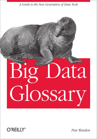 Big Data Glossary. A Guide to the New Generation of Data Tools Pete Warden - okladka książki