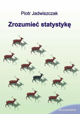 Zrozumieć statystykę Piotr Jadwiszczak - okladka książki