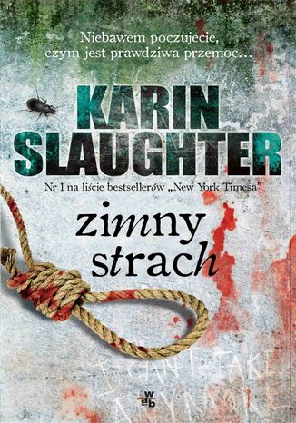 Zimny strach Karin Slaughter - okladka książki