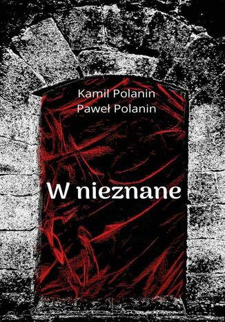 W nieznane Kamil Polanin, Paweł Polanin - okladka książki