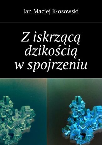 Z iskrzącą dzikością w spojrzeniu Jan Kłosowski - okladka książki