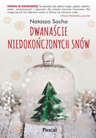 Dwanaście niedokończonych snów Natasza Socha - okladka książki