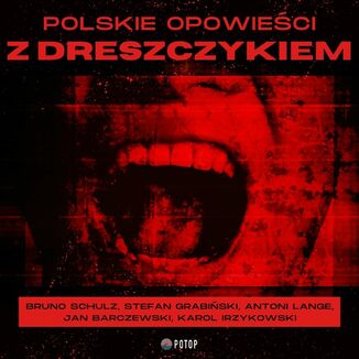 Polskie opowieści z dreszczykiem Bruno Schulz, Stefan Grabiński, Karol Irzykowski, Antoni Lange, Jan Barczewski - okladka książki