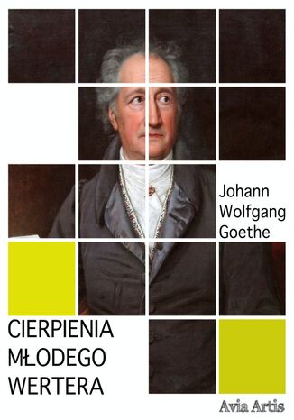 Cierpienia młodego Wertera Johann Wolfgang Goethe - okladka książki