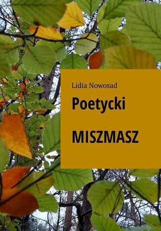 Poetycki miszmasz Lidia Nowosad - okladka książki