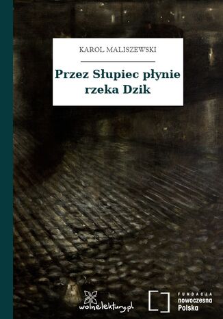 Przez Słupiec płynie rzeka Dzik Karol Maliszewski - okladka książki