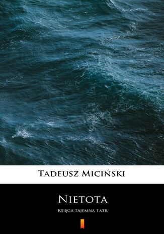 Nietota. Księga tajemna Tatr Tadeusz Miciński - okladka książki