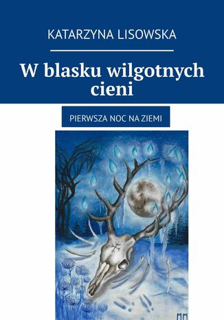 W blasku wilgotnych cieni Katarzyna Lisowska - okladka książki