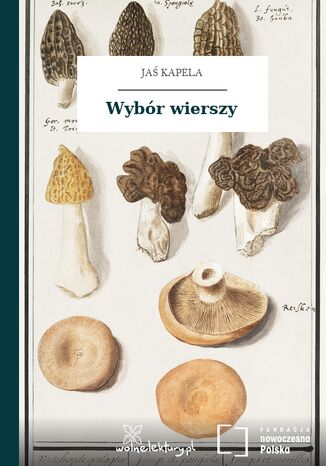 Wybór wierszy Jaś Kapela - okladka książki