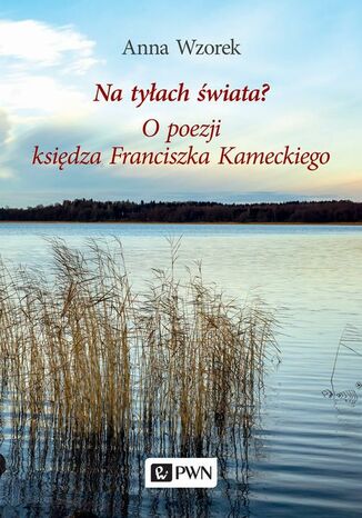 Na tyłach świata? O poezji księdza Franciszka Kameckiego Anna Wzorek - okladka książki