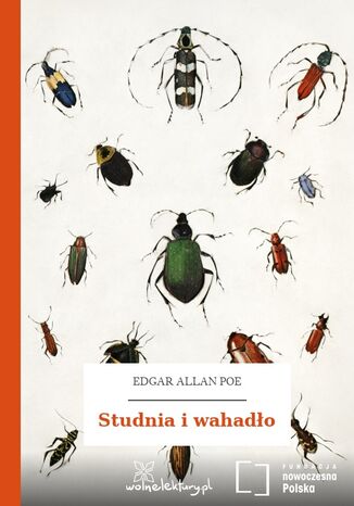 Studnia i wahadło Edgar Allan Poe - okladka książki