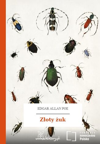 Złoty żuk Edgar Allan Poe - okladka książki