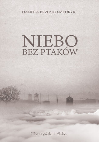 Niebo bez ptaków Danuta Brzosko-Mędryk - okladka książki