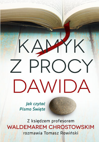 Kamyk z procy Dawida. Jak czytać Pismo Święte Kamyk z procy Dawida. Jak czytać Pismo Święte - okladka książki