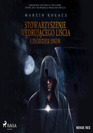 Stowarzyszenie wędrującego liścia i złodzieje snów Marcin Kolacz - okladka książki