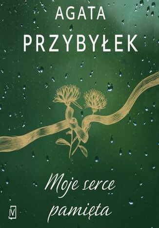 Moje serce pamięta. Detektyw Rafał Kamieński. Tom 4 Agata Przybyłek - audiobook MP3