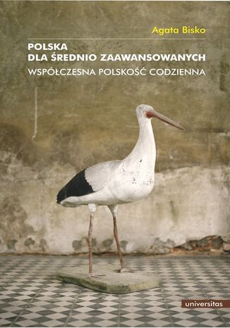 Polska dla średnio zaawansowanych. Współczesna polskość codzienna Agata Bisko - okladka książki