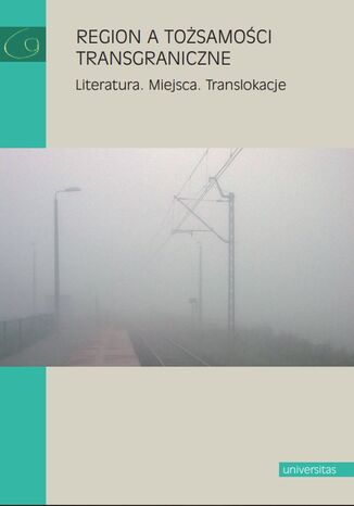 Region a tożsamości transgraniczne. Literatura. Miejsca. Translokacje praca zbiorowa - okladka książki