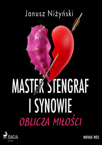 Master Stengraf i synowie. Oblicza miłości Janusz Niżyński - okladka książki