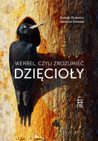 Werbel, czyli zrozumieć dzięcioły Dorota Zawadzka, Grzegorz Zawadzki - okladka książki