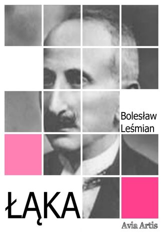 Łąka Bolesław Leśmian - okladka książki