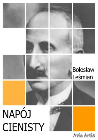 Napój cienisty Bolesław Leśmian - okladka książki